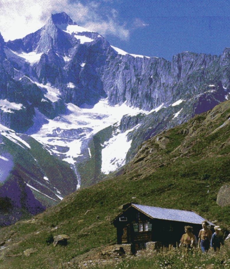 Alphütte Schranni vor Wannenhorn
